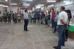 Zero Efforts Activities