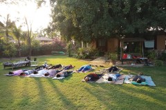 Zero Efforts Activities